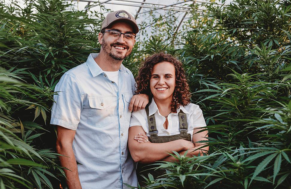 Co-founders of Head & Heal, Allan Gandelman and Karli Miller-Hornick, stand in among hemp plants in a greenhouse.